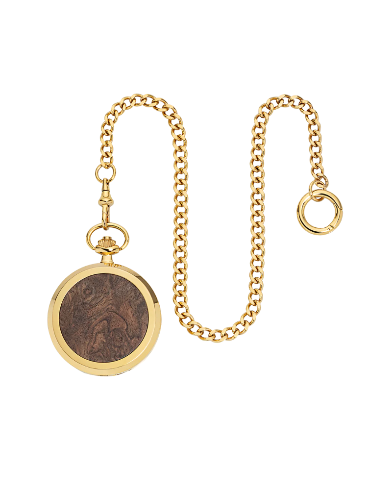 FR01 Franz Rudolf Skelett